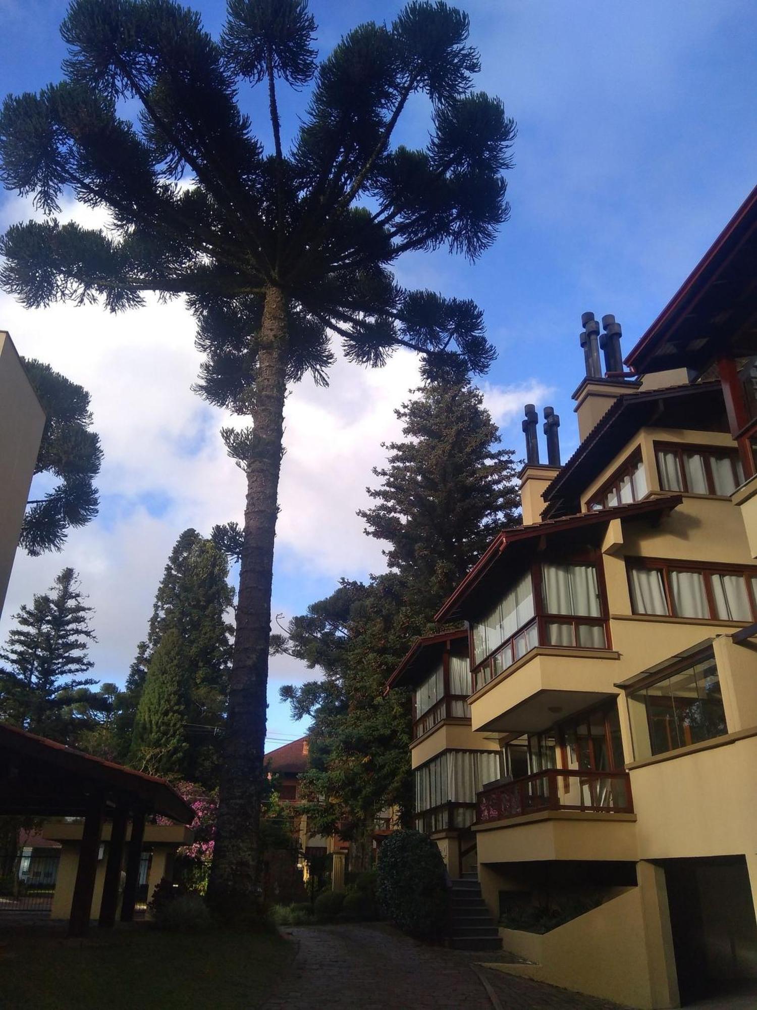 Apartamento Estacao Das Hortensias, Seu Aconchego Em Gramado Exterior foto