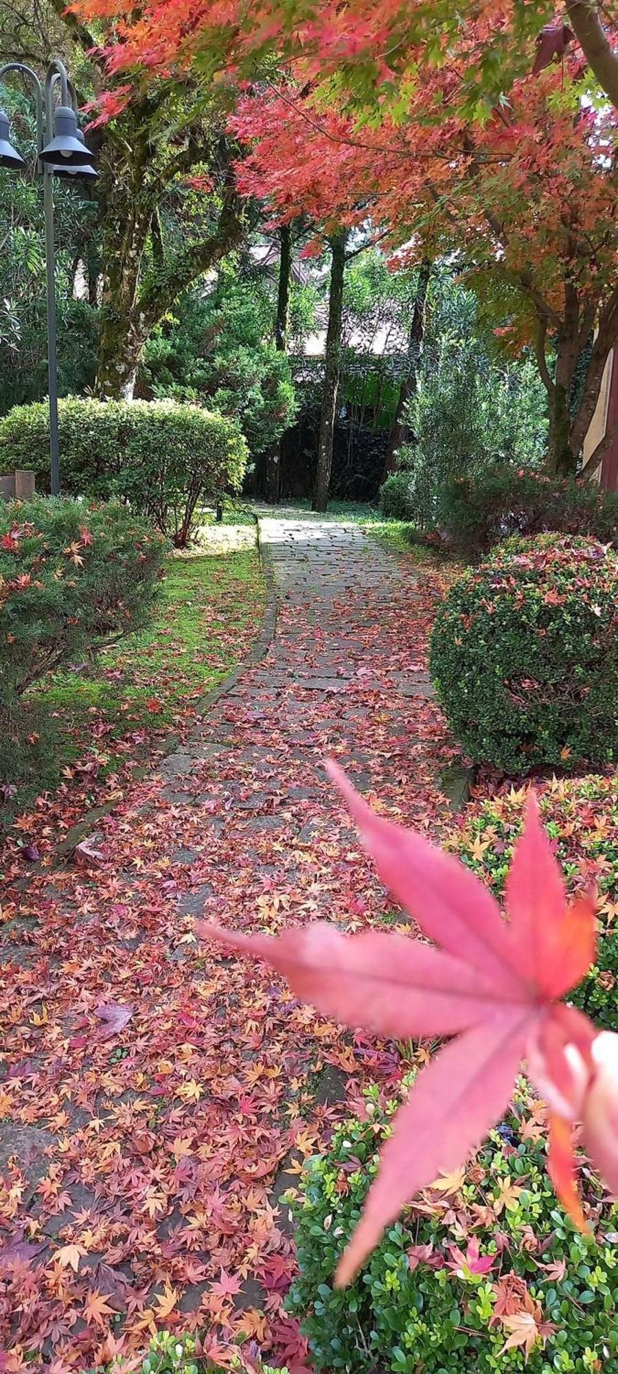 Apartamento Estacao Das Hortensias, Seu Aconchego Em Gramado Exterior foto
