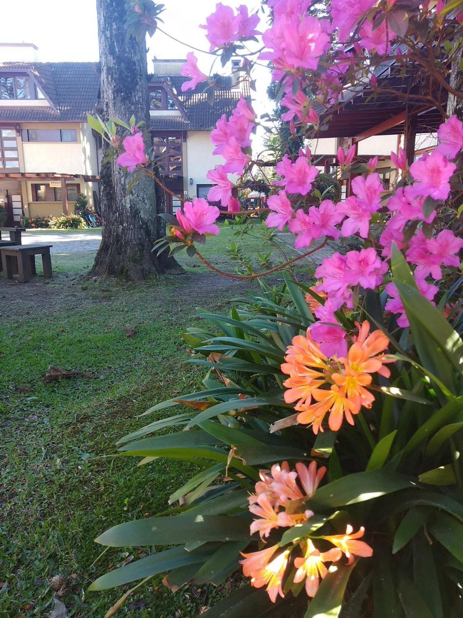 Apartamento Estacao Das Hortensias, Seu Aconchego Em Gramado Exterior foto